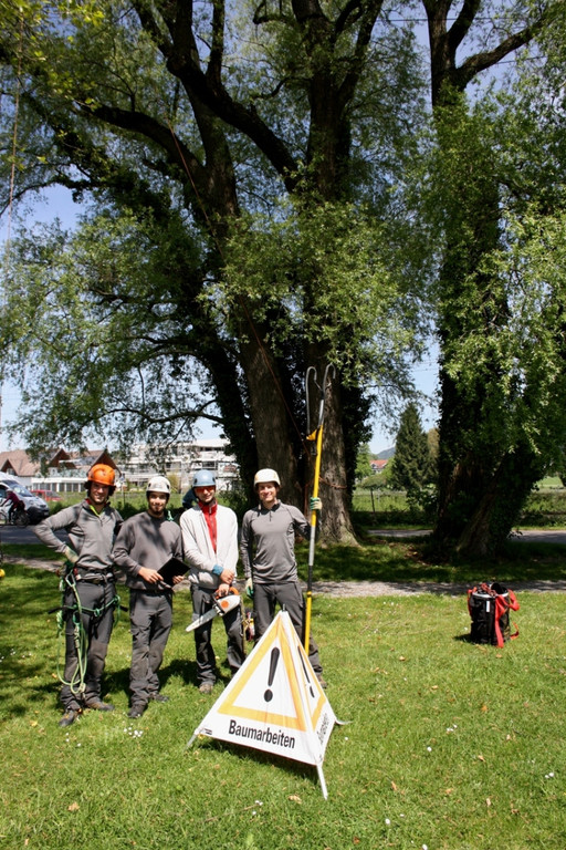 Baumpflege am See TEAM LANGEN 2014 _32_.JPG