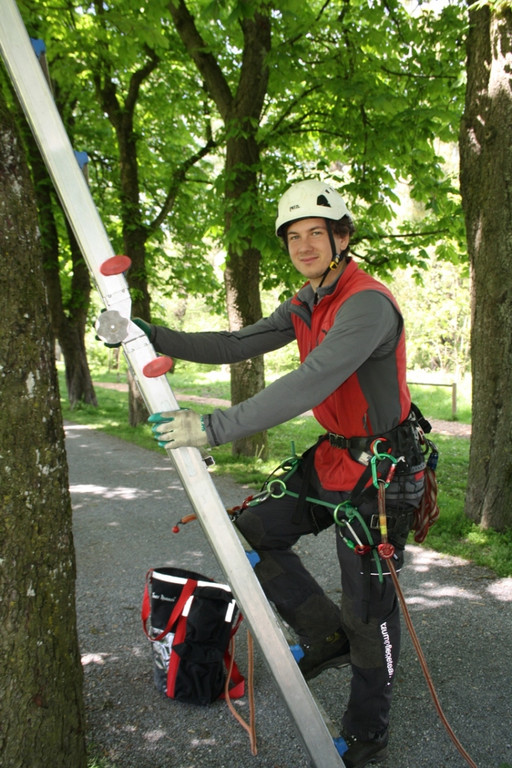 Baumpflege am See TEAM LANGEN 2014 _16_.JPG