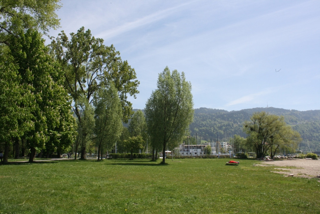 Baumpflege am See TEAM LANGEN 2014 _28_.JPG