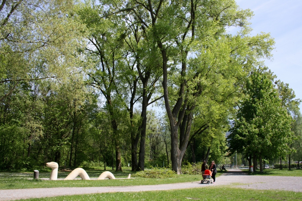 Baumpflege am See TEAM LANGEN 2014 _25_.JPG