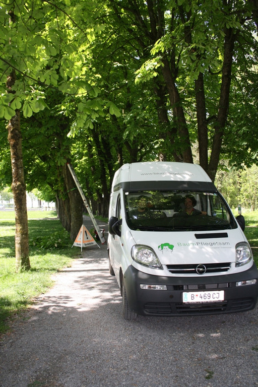 Baumpflege am See TEAM LANGEN 2014 _22_.JPG