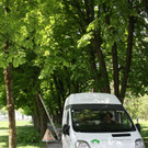 Baumpflege am See TEAM LANGEN 2014 _22_.JPG