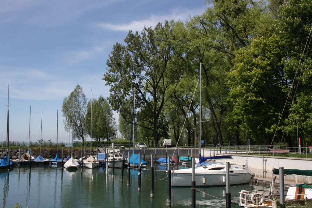 Baumpflege am See TEAM LANGEN 2014 _11_.JPG