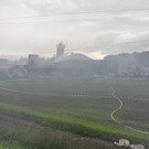 DSC_0010.JPG