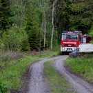 IMG_8334.jpg