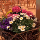 DSC00266.JPG