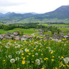 DSC08914.JPG