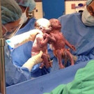twins1.jpg