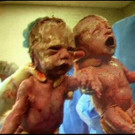 twins2.jpg