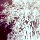_c_ PFEIFFER Karoline Filmstill Searching.jpg