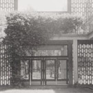_c_ SCHREINER Filmstill G__nsehaeufel.jpg