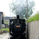 DSC02503.JPG