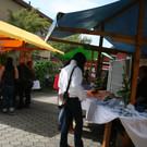 IMG_0558.jpg