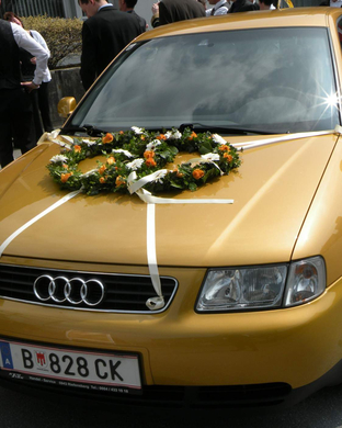 DSCN9778.JPG