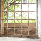 DSC06112.JPG