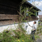 DSC06119.JPG