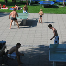 IMG_6450_JPG-1271453589