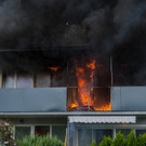 Schwerer Wohnhausbrand in Guntramsdorf: Drei Katzen gerettet