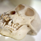 ABD0073-20140513.jpg