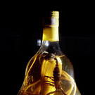 ABD0076-20140513.jpg