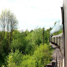 IMG_5490A.jpg