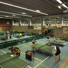 IMG_4100.jpg