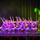 zurcaroh-gala_006.jpg