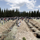 IBD0908-20140515.jpg