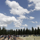 IBD0815-20140515.jpg