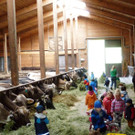 bauernhof13.jpg