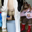 bauernhof27.jpg