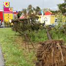 ABD0024-20140516.jpg
