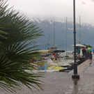P5020131b.jpg