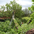 ABD0081-20140516.jpg