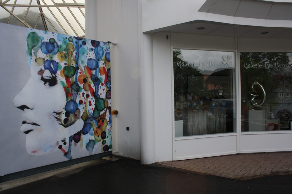 Galerie Papillon VOGLER neu 2014 _5_.JPG