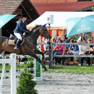 Reitturnier Ho__chst 17-05-2014 93.jpg