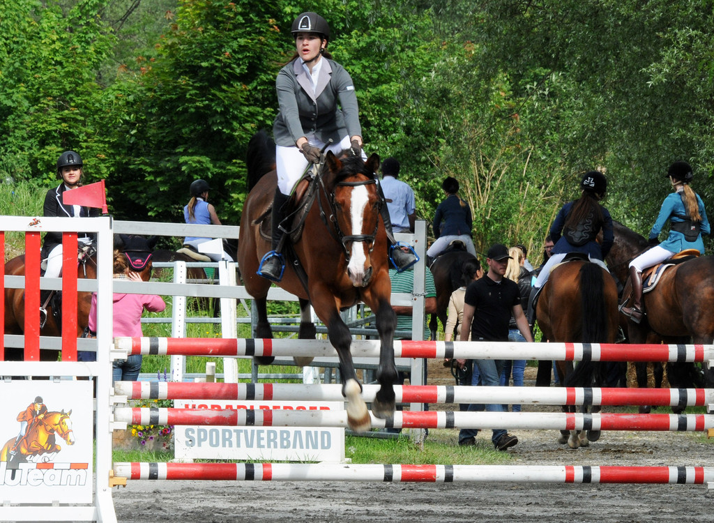 Reitturnier Ho__chst 17-05-2014 26.jpg