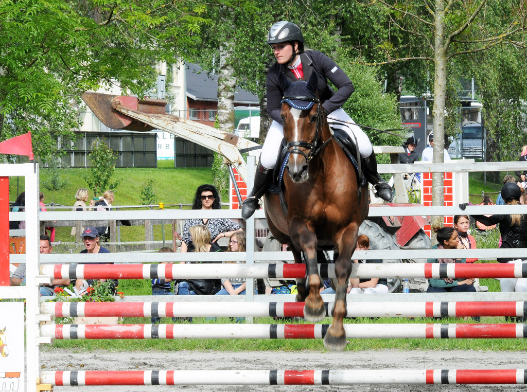 Reitturnier Ho__chst 17-05-2014 63.jpg