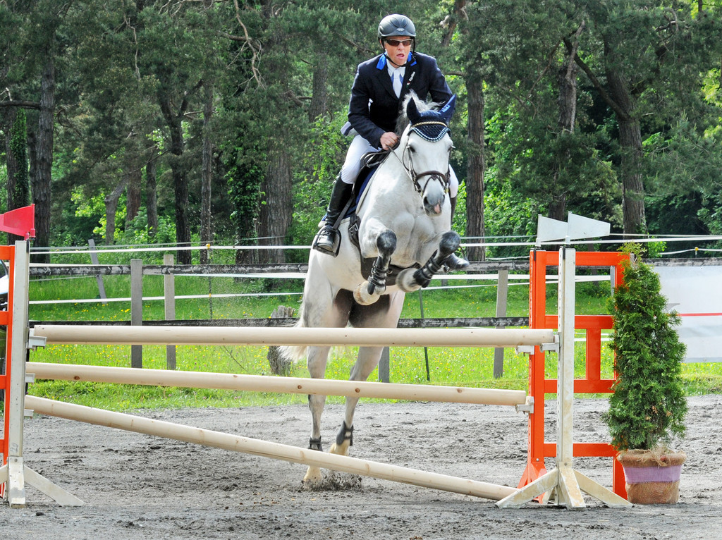 Reitturnier Ho__chst 17-05-2014 81.jpg