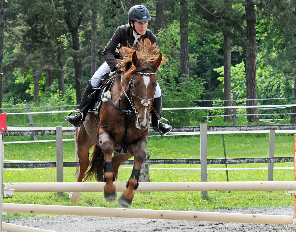 Reitturnier Ho__chst 17-05-2014 98.jpg