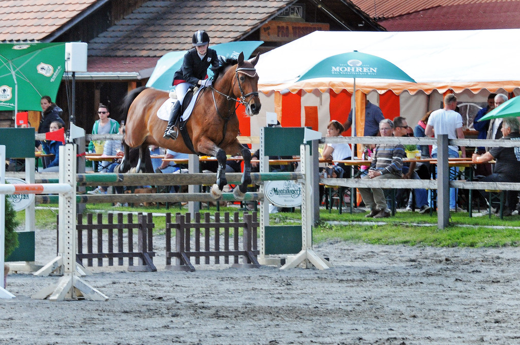 Reitturnier Ho__chst 17-05-2014 142.jpg