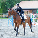 Reitturnier Ho__chst 17-05-2014 148.jpg