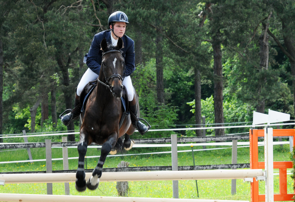 Reitturnier Ho__chst 17-05-2014 68.jpg