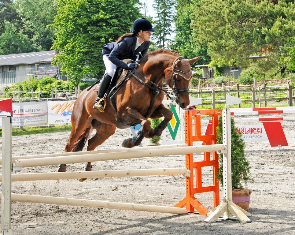 Reitturnier Ho__chst 17-05-2014-2 9.jpg