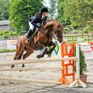 Reitturnier Ho__chst 17-05-2014-2 9.jpg