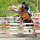 Reitturnier Ho__chst 17-05-2014-2 11.jpg