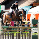 Reitturnier Ho__chst 17-05-2014-2 45.jpg