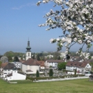 Fr__hling Hochstammkulturen _37_.jpg