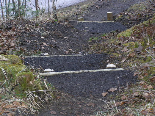 P4170546.JPG