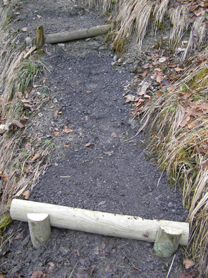 P4170547.JPG